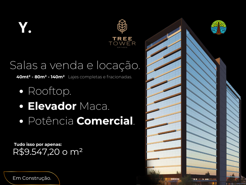 Lançamento 3