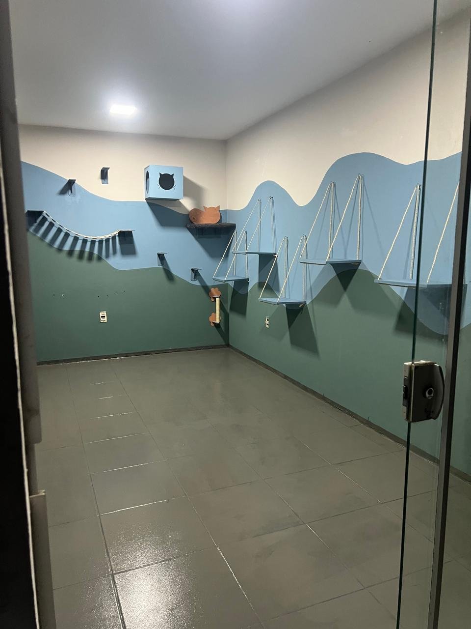  - foto 4